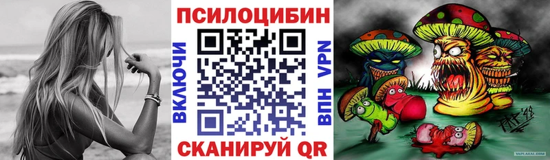 даркнет сайт  Заринск  Псилоцибиновые грибы Magic Shrooms 